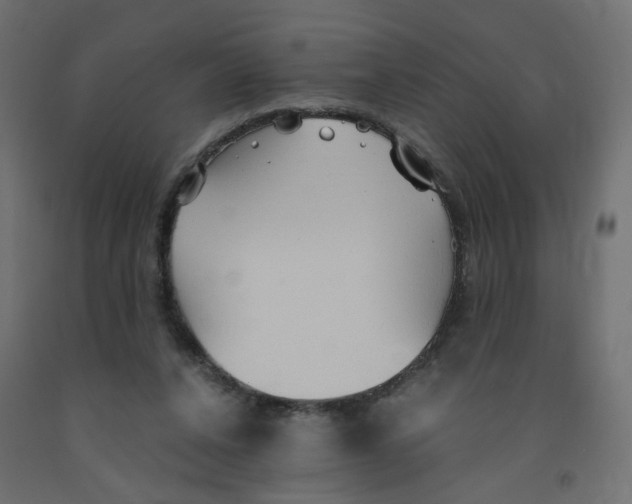 X0000091860256200710031707