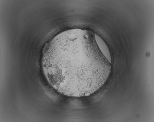 X0000091860258200710031707