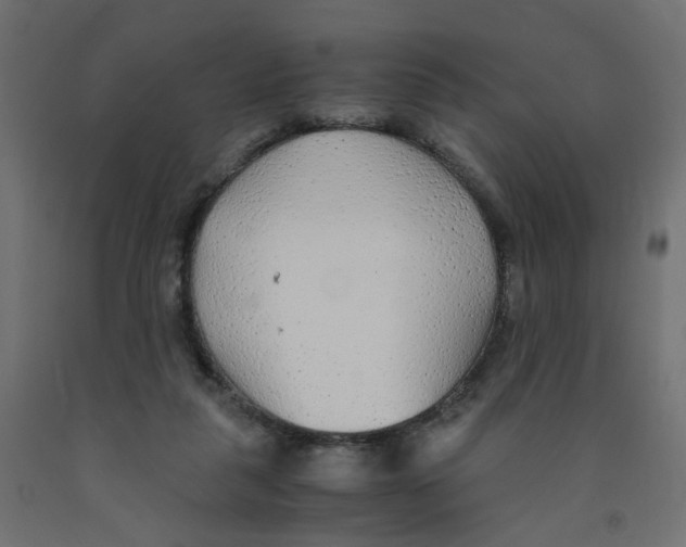 X0000091860259200710031707