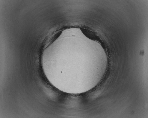 X0000091860260200710031707