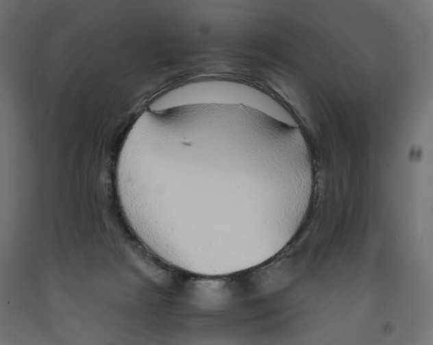 X0000091860265200710031707