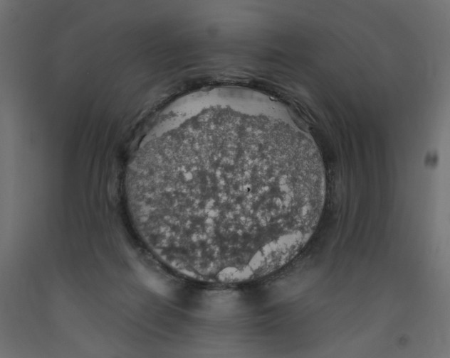 X0000091860266200710031707