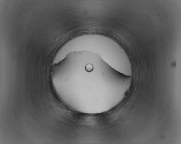 X0000091860268200710031707