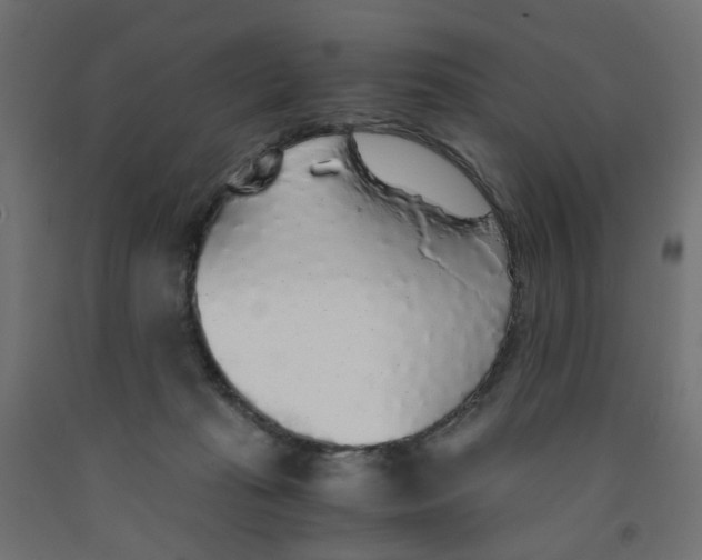 X0000091860269200710031707