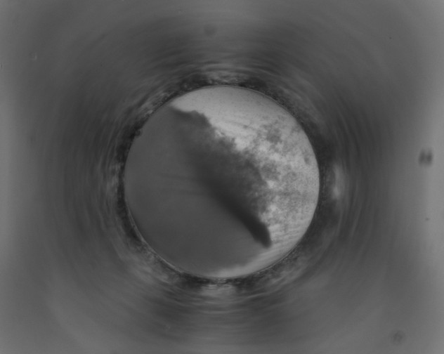 X0000091860271200710031707