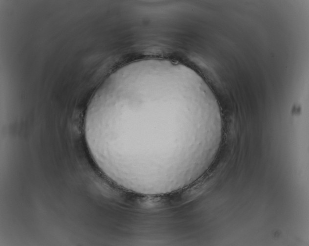 X0000091860273200710031707