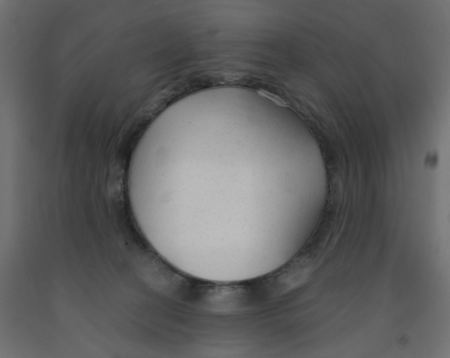 X0000091860274200710031707