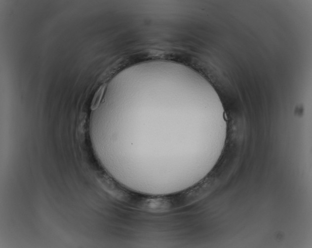 X0000091860275200710031707