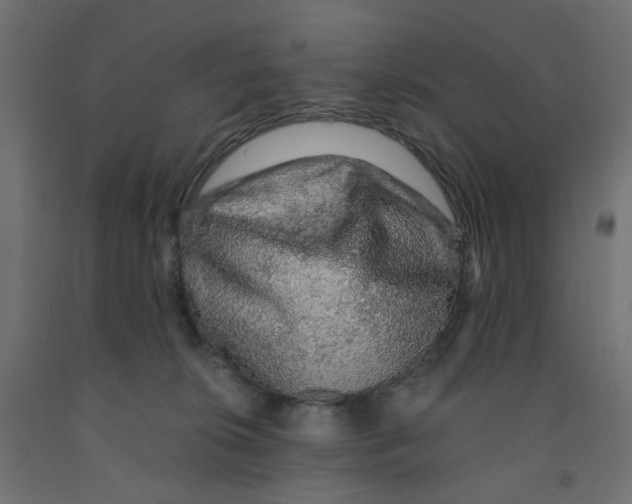 X0000091860276200710031707