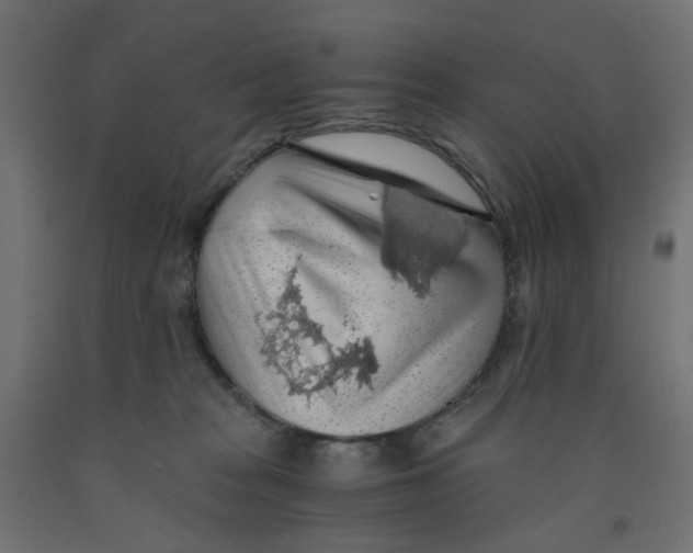 X0000091860277200710031707