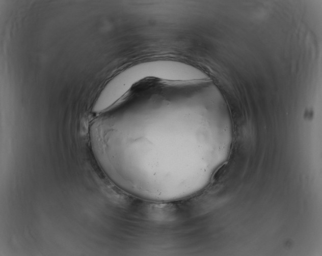 X0000091860281200710031707