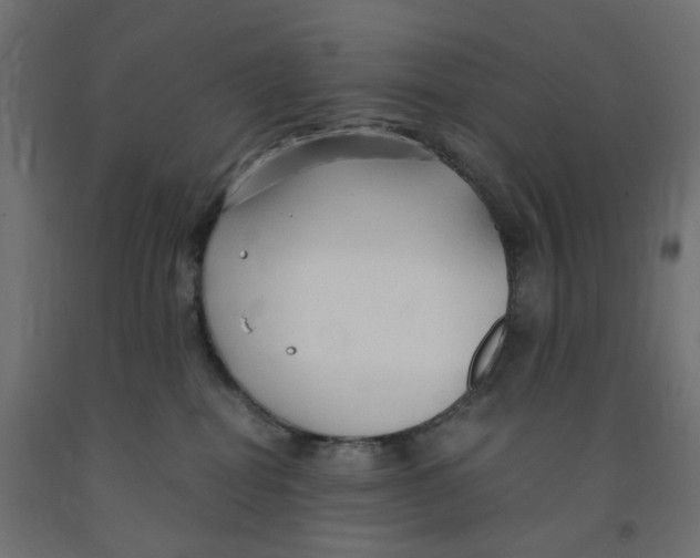 X0000091860282200710031707