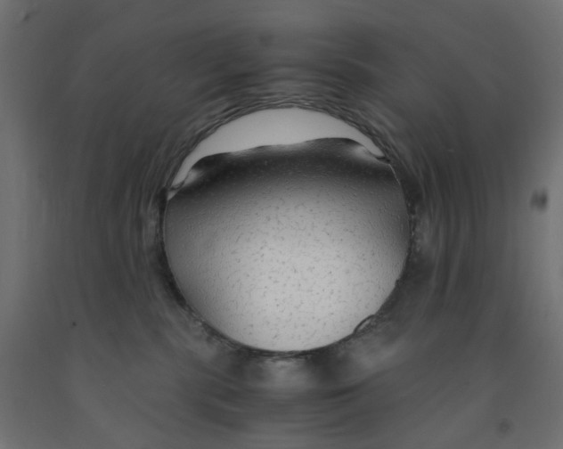 X0000091860283200710031707