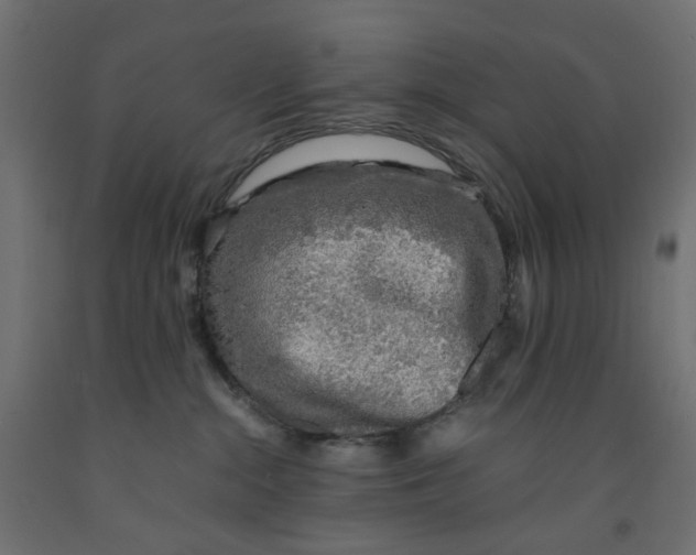 X0000091860284200710031707