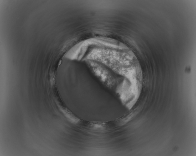 X0000091860285200710031707