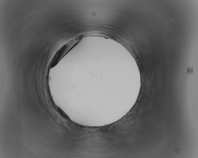 X0000091860289200710031707