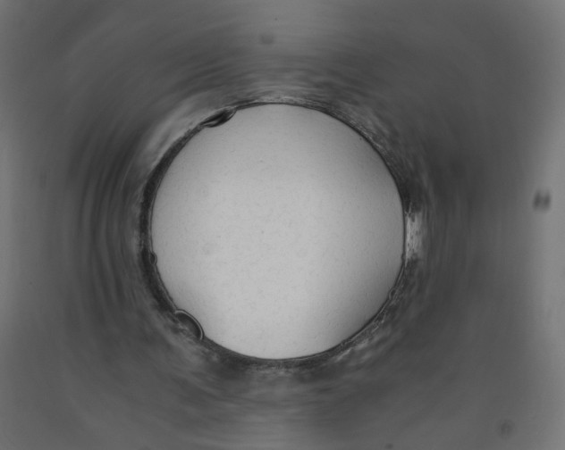 X0000091860291200710031707