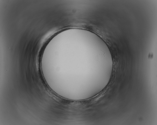 X0000091860294200710031707