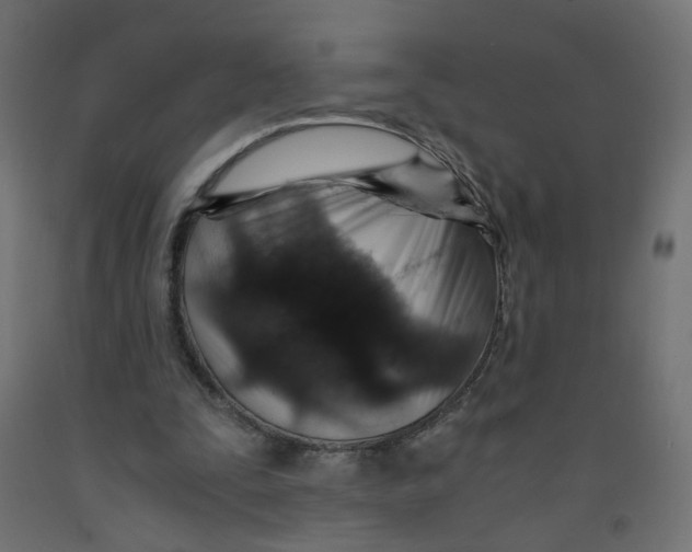 X0000091860295200710031707