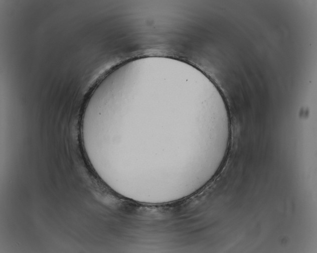 X0000091860297200710031707