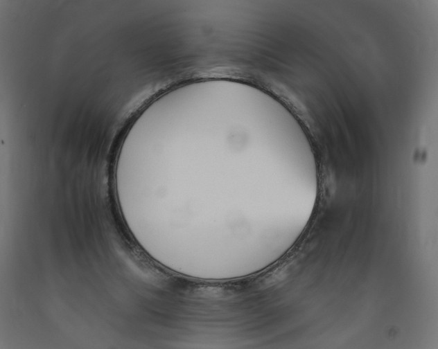 X0000091860298200710031707