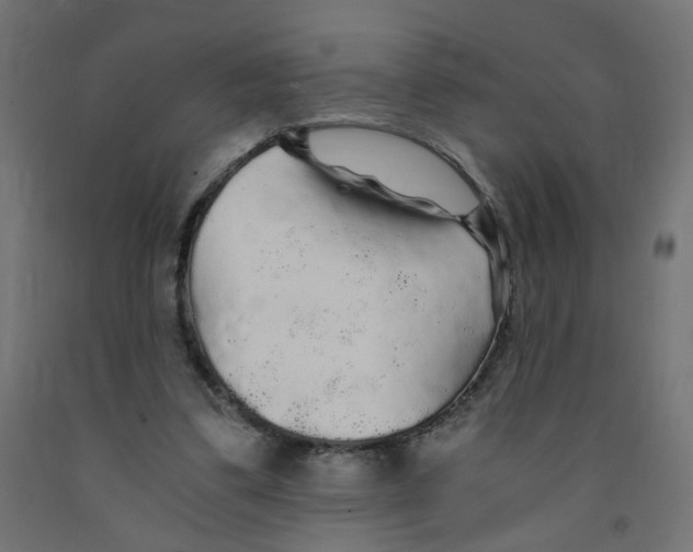 X0000091860299200710031707