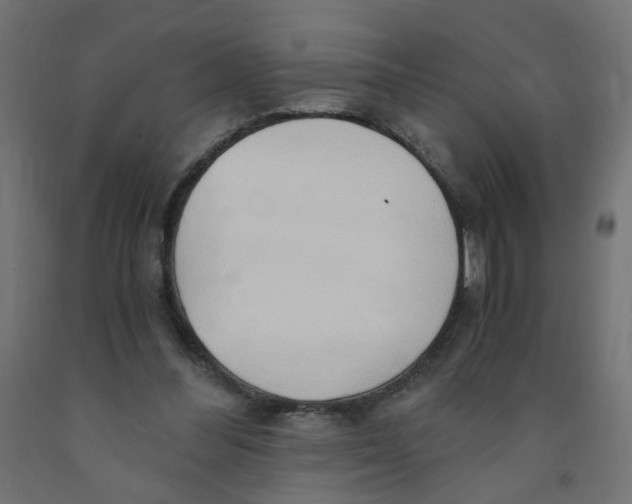 X0000091860300200710031707