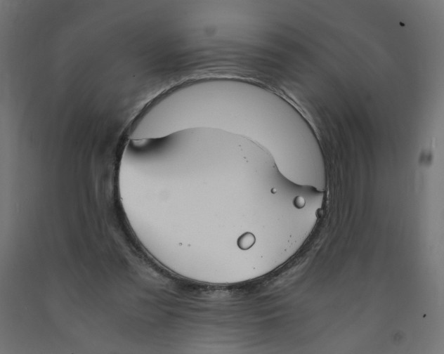 X0000091860301200710031707