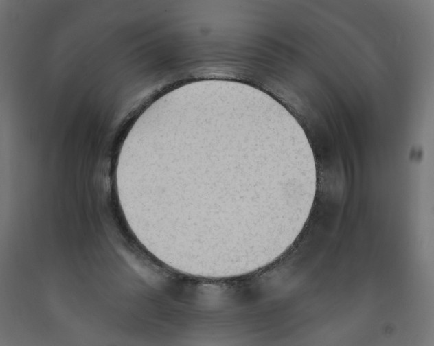 X0000091860302200710031707