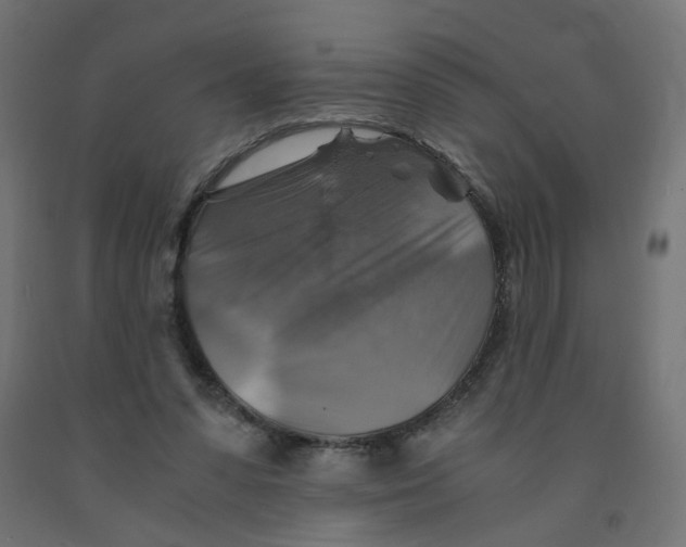 X0000091860303200710031707