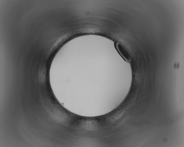 X0000091860304200710031707