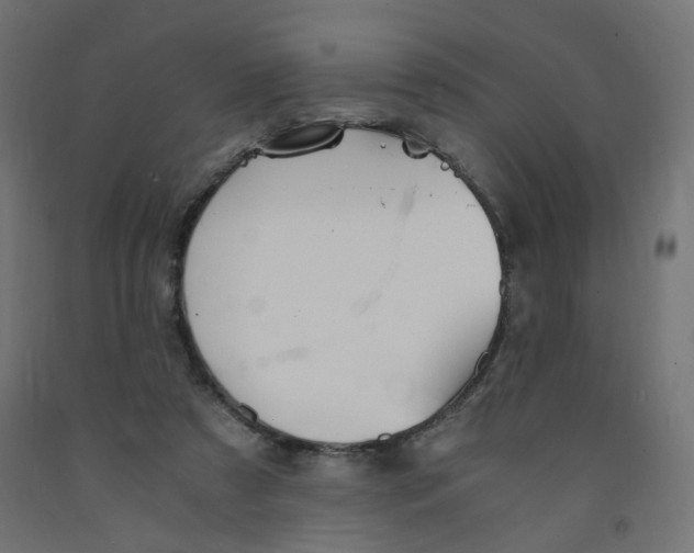 X0000091860305200710031707