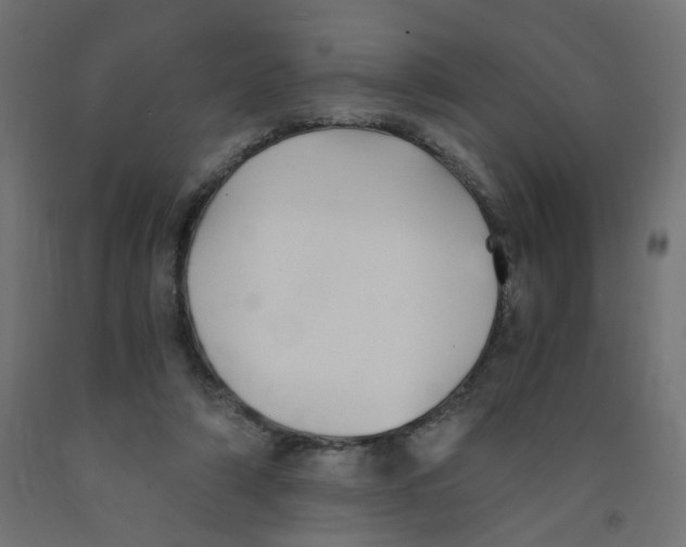 X0000091860306200710031707