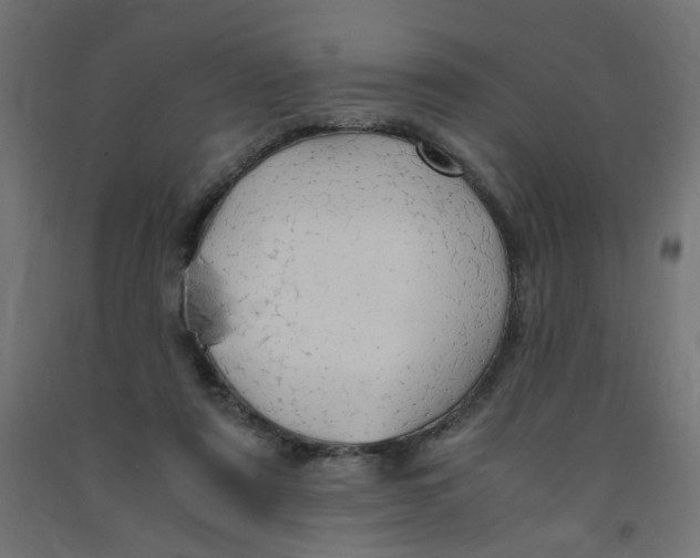 X0000091860307200710031707