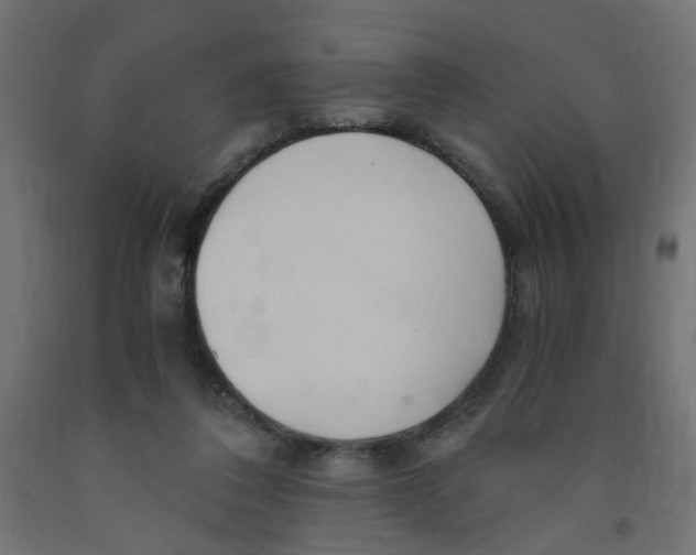 X0000091860308200710031707