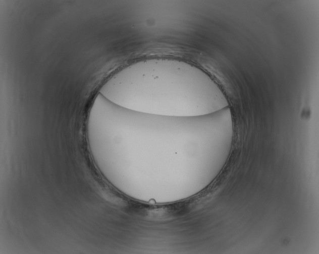 X0000091860309200710031707