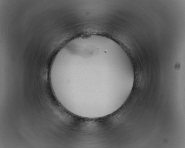 X0000091860310200710031707