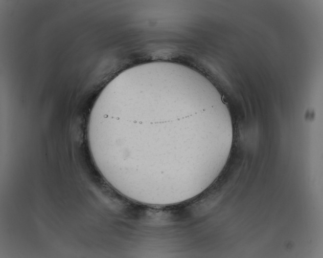 X0000091860311200710031707