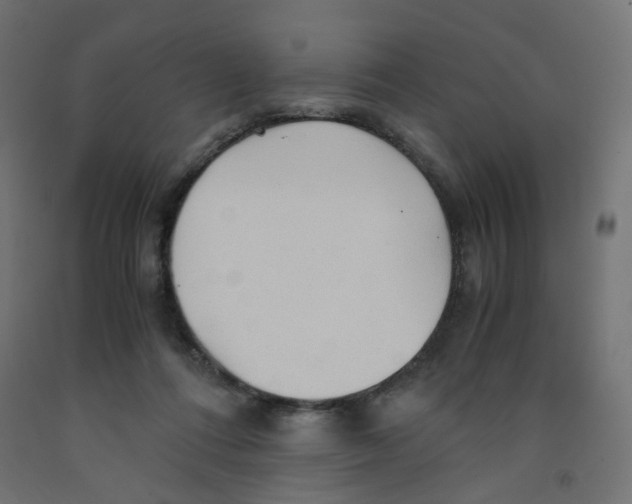 X0000091860312200710031707