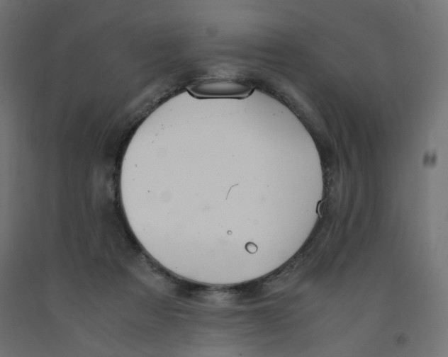 X0000091860313200710031707