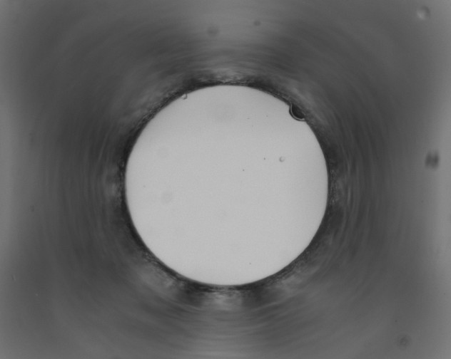 X0000091860317200710031707