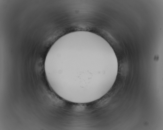 X0000091860318200710031707