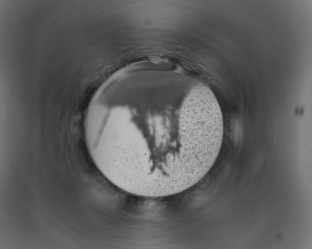 X0000091860319200710031707