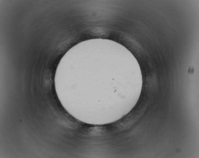 X0000091860320200710031706