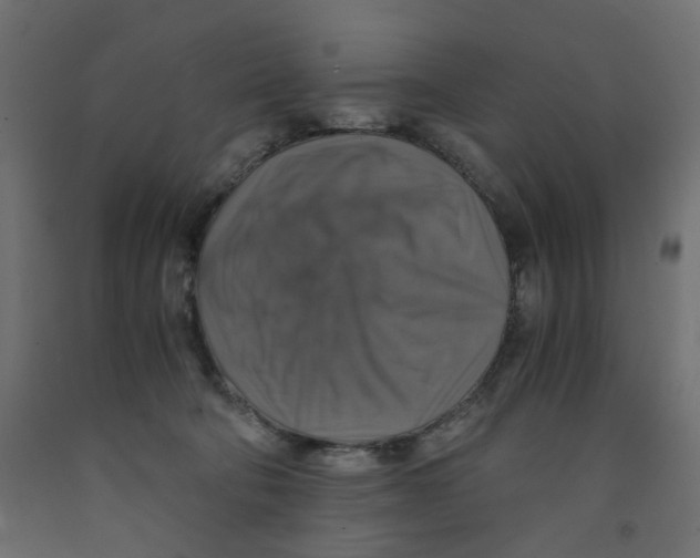 X0000091860322200710031706