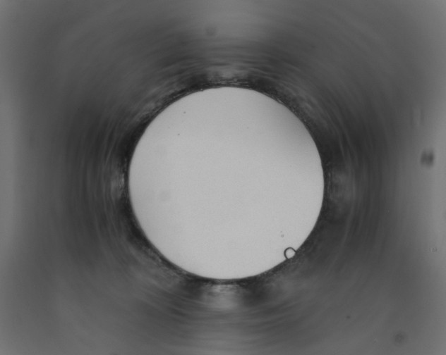 X0000091860324200710031706