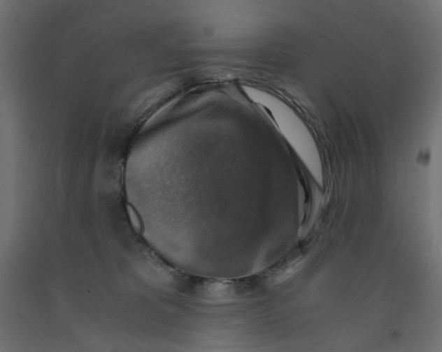 X0000091860325200710031706