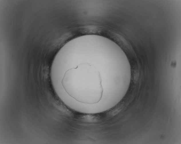 X0000091860326200710031706