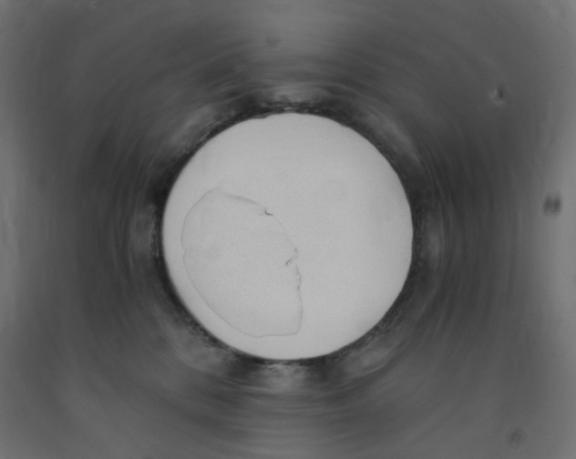 X0000091860328200710031706