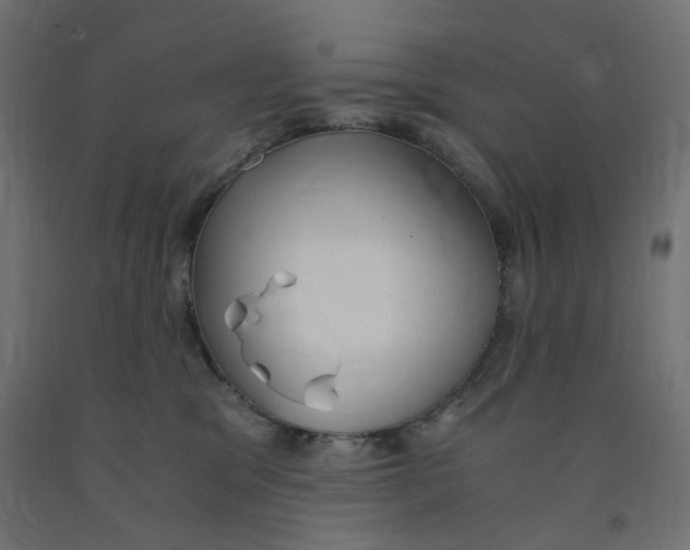 X0000091860329200710031706